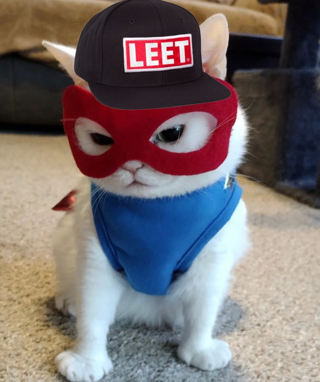 leet af