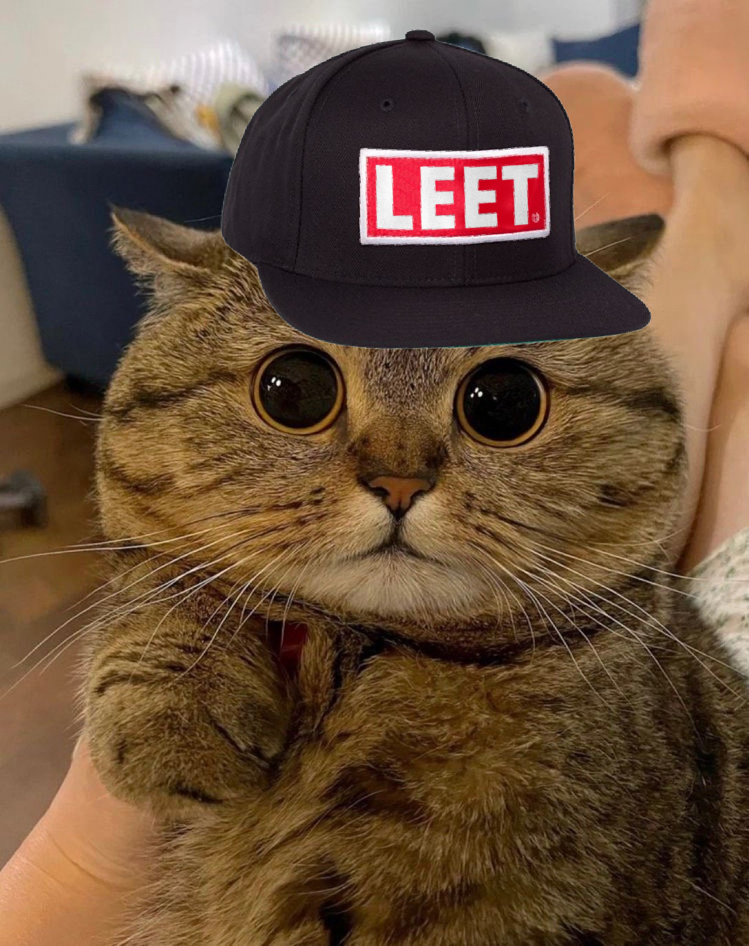 leet af